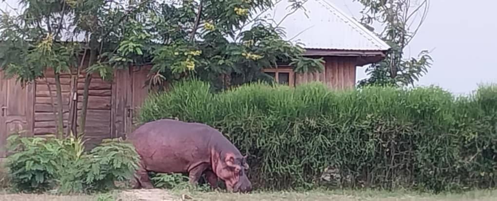 Tembo Safari Lodge Katunguru 外观 照片
